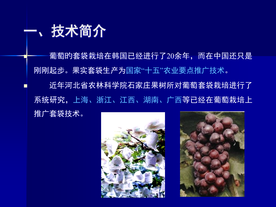 葡萄套袋技术.pptx_第2页