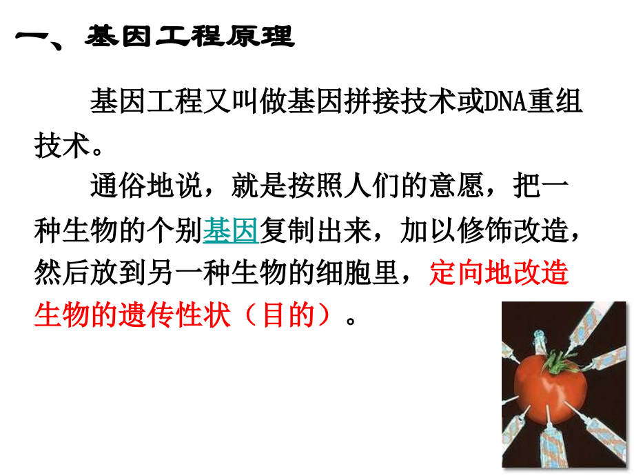 必修2第六章第二节 基因工程极其应用.ppt_第2页