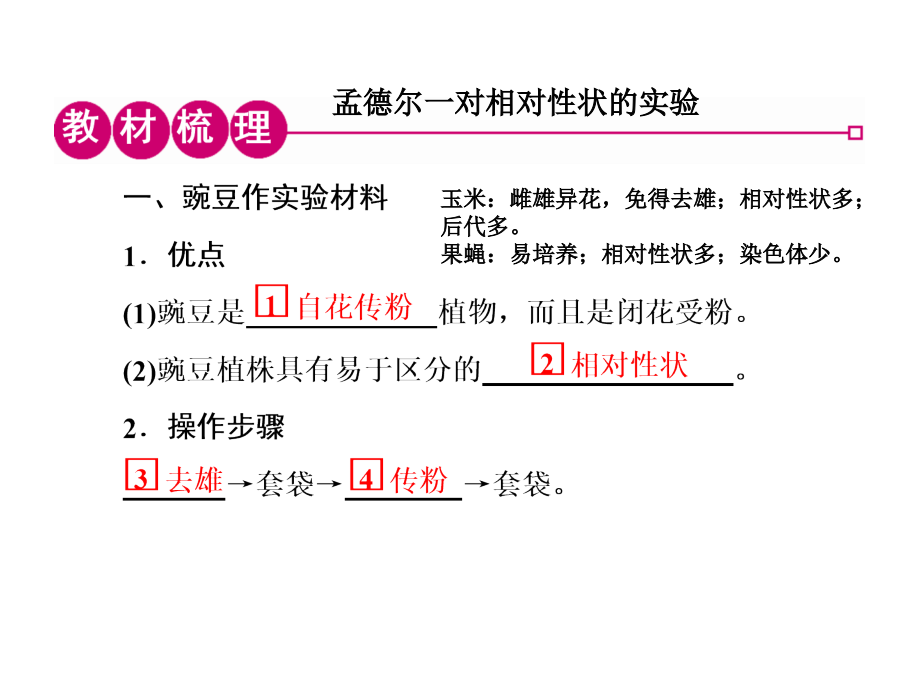 遗传因子发现(第二课时).ppt_第1页