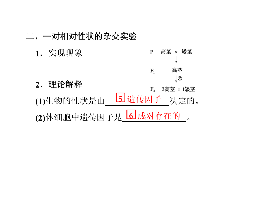 遗传因子发现(第二课时).ppt_第2页