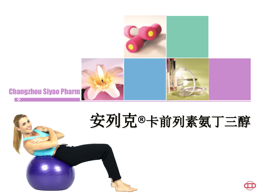 安列克介绍专题课件.pptx_第1页