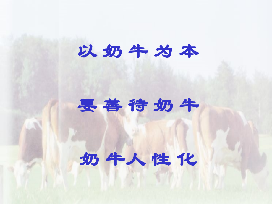 奶牛保健体系的建立与实施.ppt_第2页