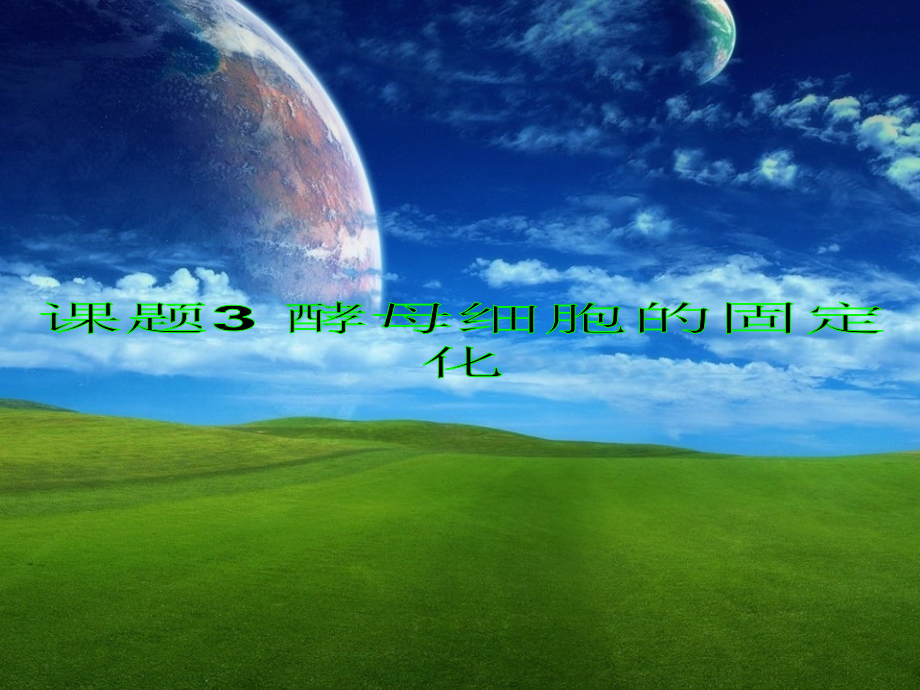 徐汇新王牌生物补习班专题四酵母细胞的固定化.pptx_第1页
