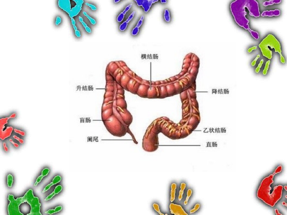 内镜下肠息肉摘除术的护理.ppt_第2页