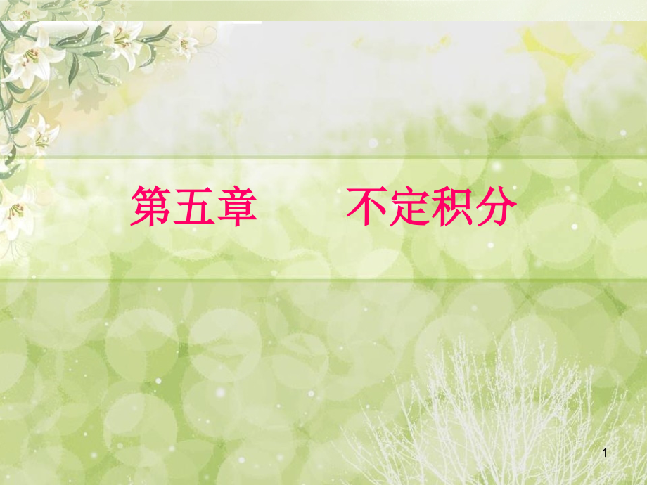 不定积分的几何意义.pptx_第1页