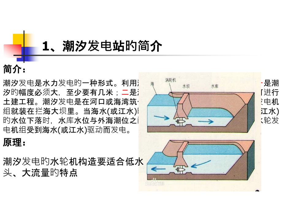 新能源潮汐发电.pptx_第2页