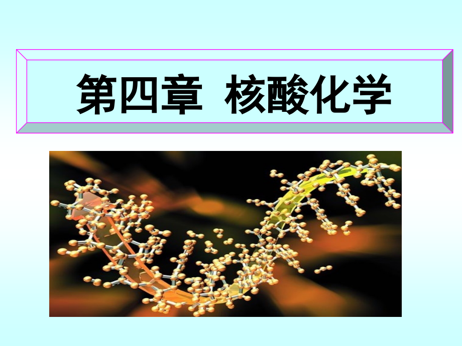 核酸化学.pptx_第1页