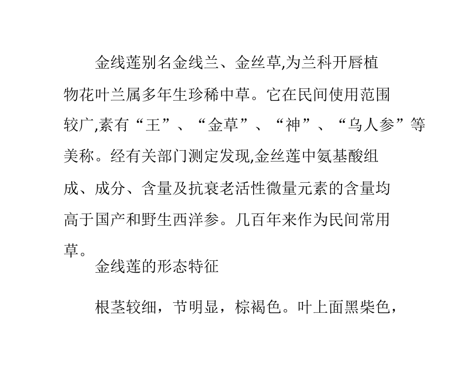 金线莲有什么功效和作用.pptx_第1页