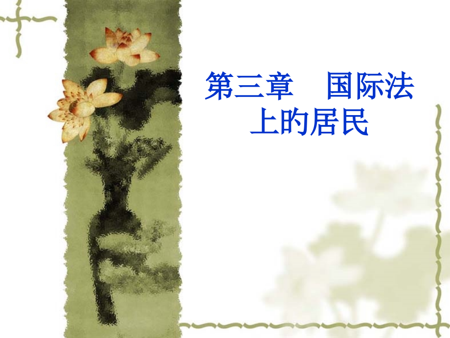 国际法课件专业知识.pptx_第1页