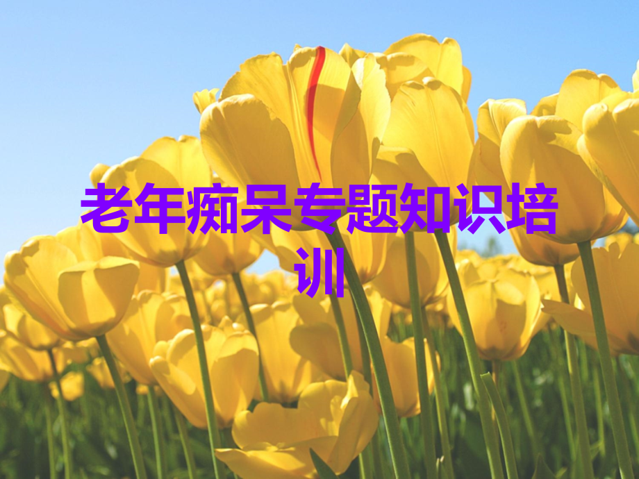 老年痴呆专题知识培训.ppt_第1页