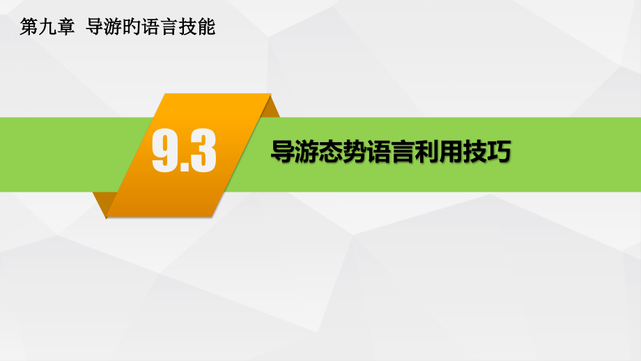 导游态势语言运用技巧.pptx_第2页