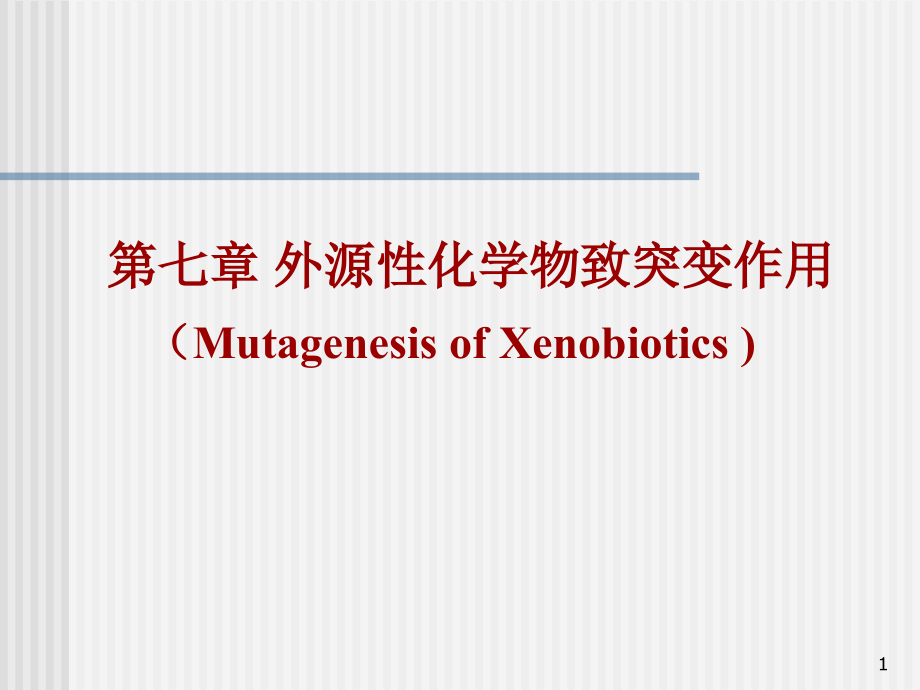 第6章外源化学物致突变作用.ppt_第1页