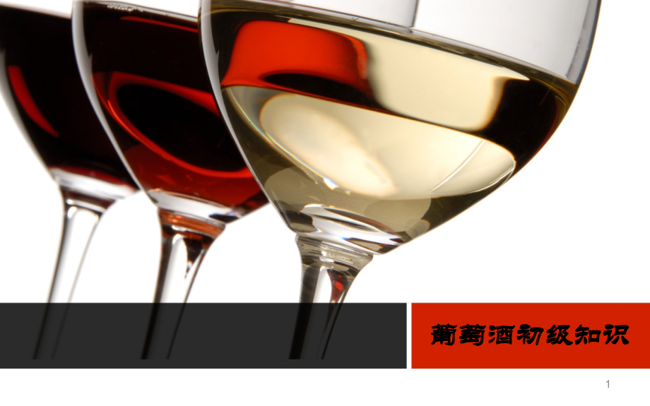 葡萄酒初级知识.pptx_第1页