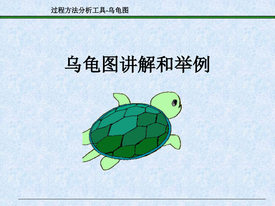 乌龟图讲解专题课件.pptx_第1页
