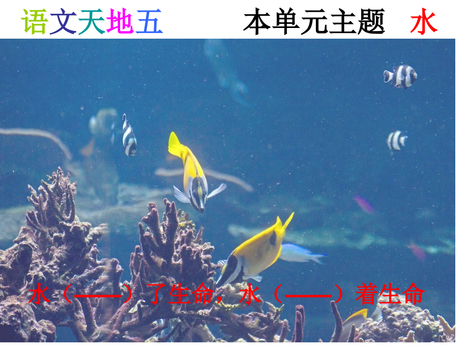 语文天地五-北师大版五年级上.pptx_第1页