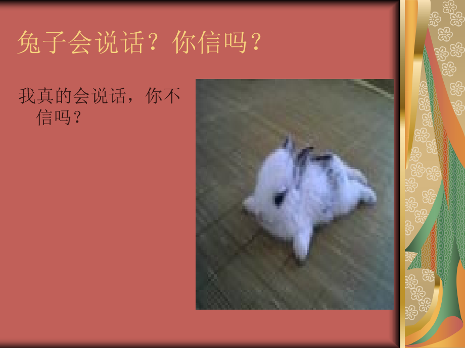 鲁西西和水晶兔.ppt_第2页