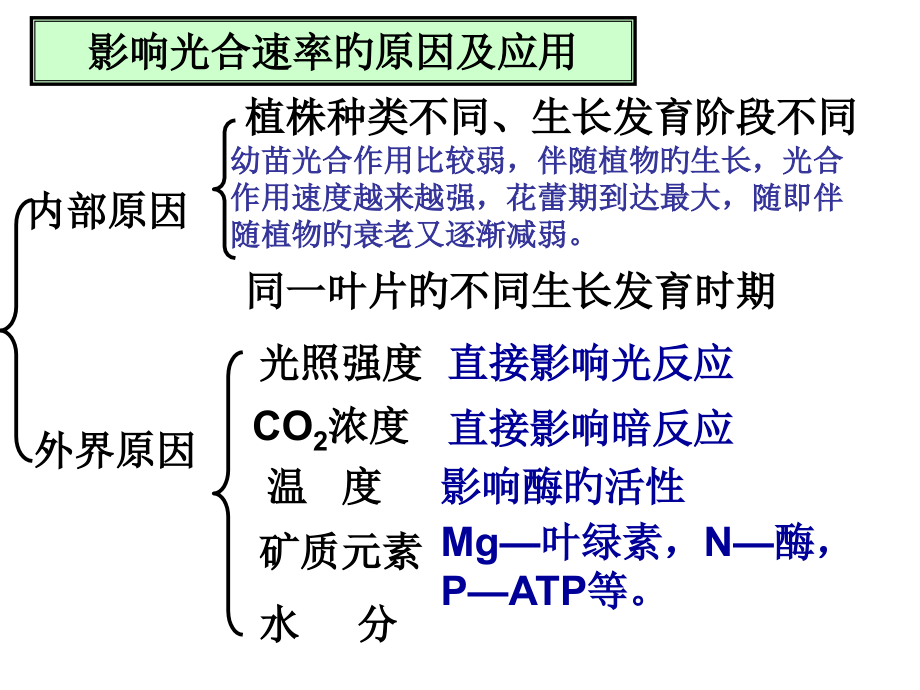 光合作用练习.pptx_第2页