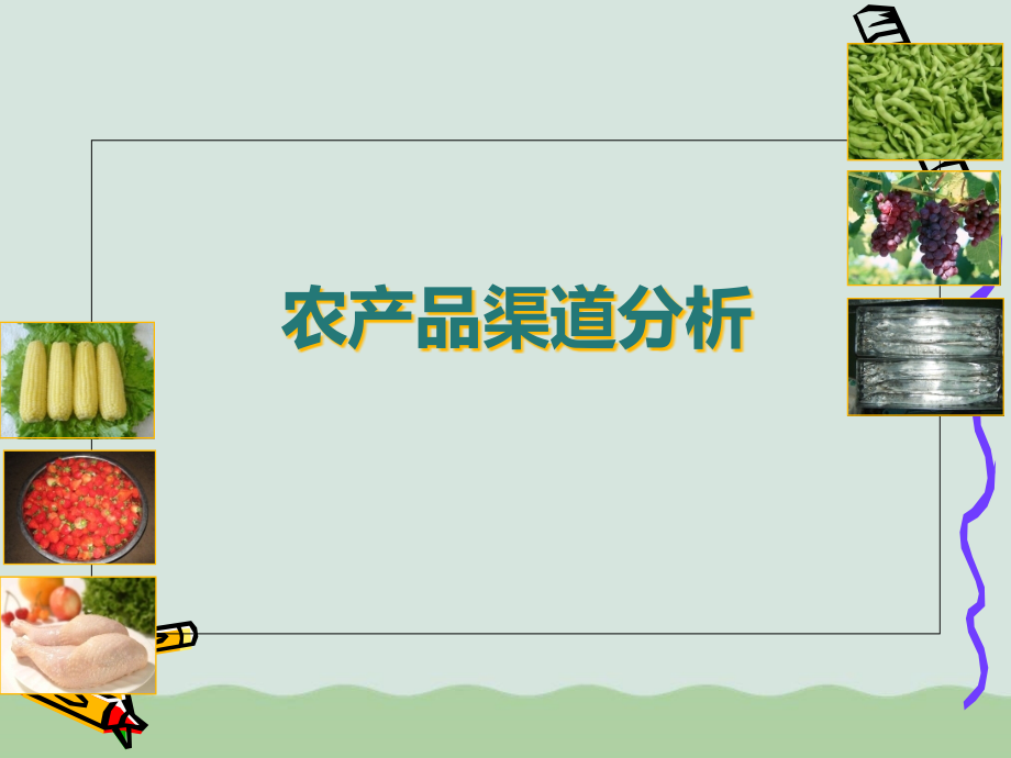 农产品渠道分析.pptx_第1页