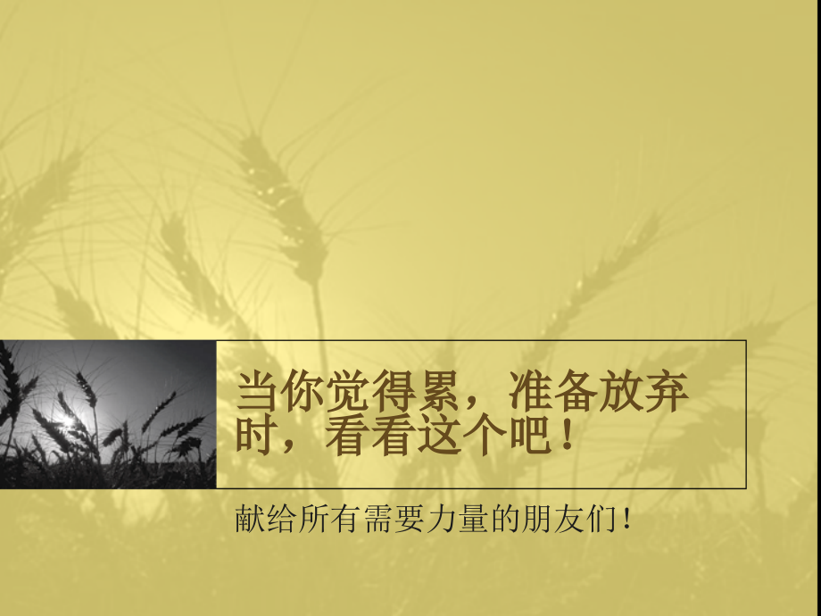 当你觉累,准备放弃时.ppt_第1页