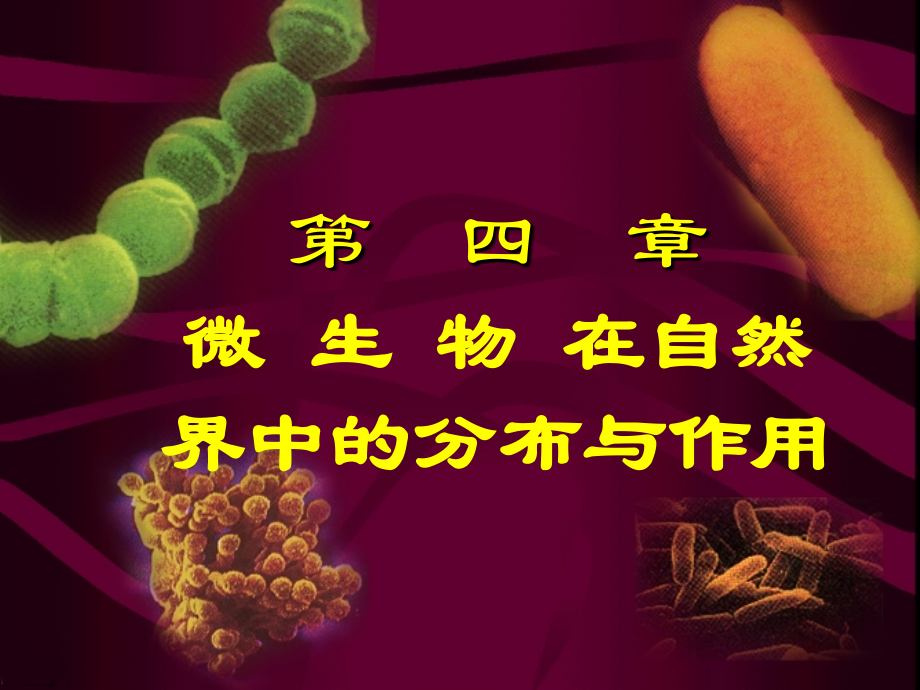 第4章 微生物在自然界中的分布与作用xin.ppt_第1页