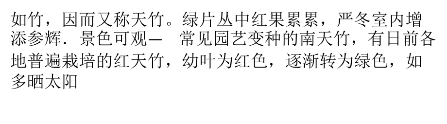 银杏树南天竹盆景的造型与养护.pptx_第2页