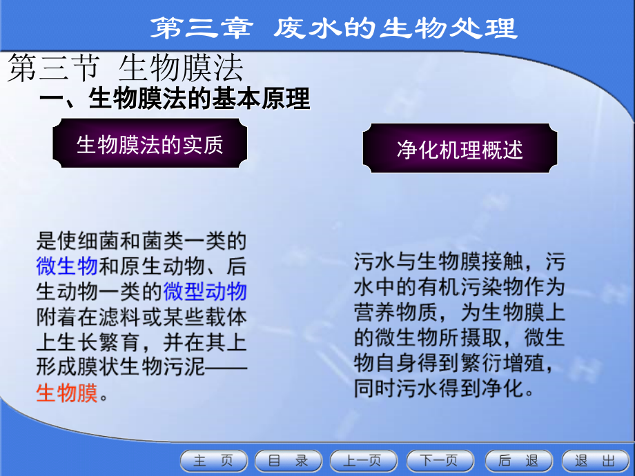第3章 废水生物处理.ppt_第2页
