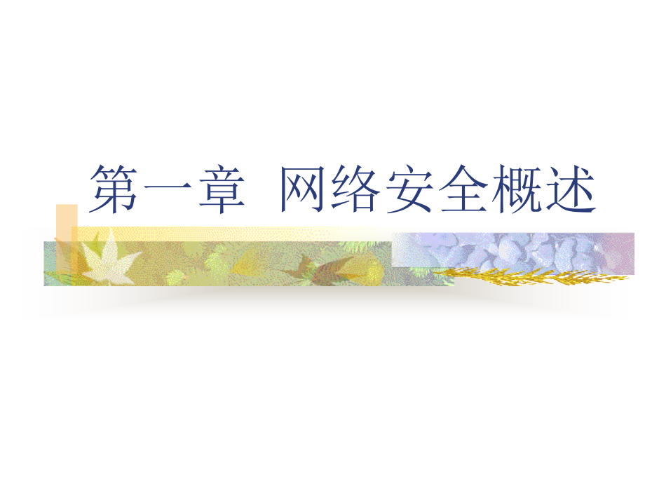 第1章网络安全概述课件.ppt_第1页