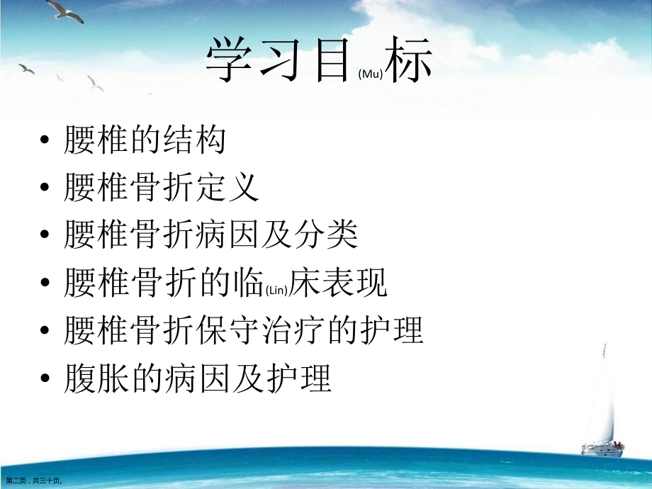 腰椎骨折护理及病例汇报.pptx_第2页
