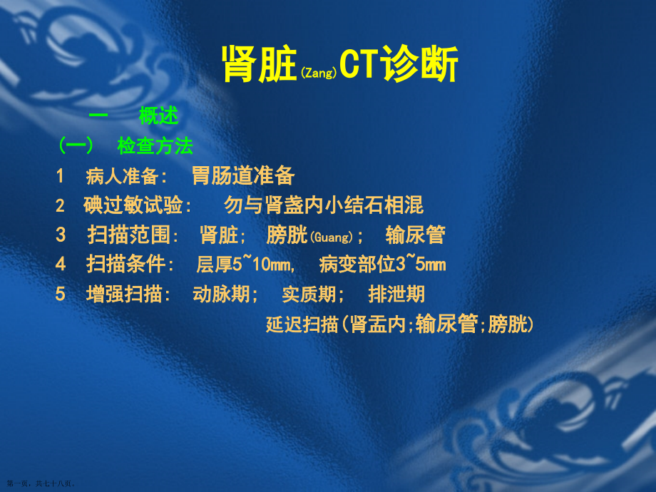 CT诊断学肾脏CT治疗主题.pptx_第1页