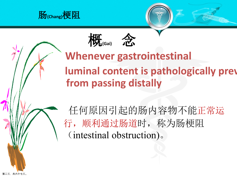 肠梗阻的诊断及治疗临床病例培训学习.pptx_第2页