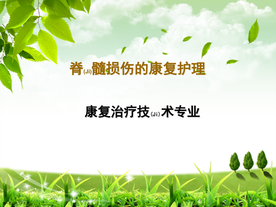 脊髓损伤的康复护理及诊疗过程.pptx_第1页