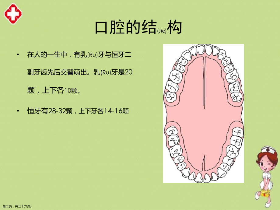 口腔健康基本知识综合.pptx_第2页