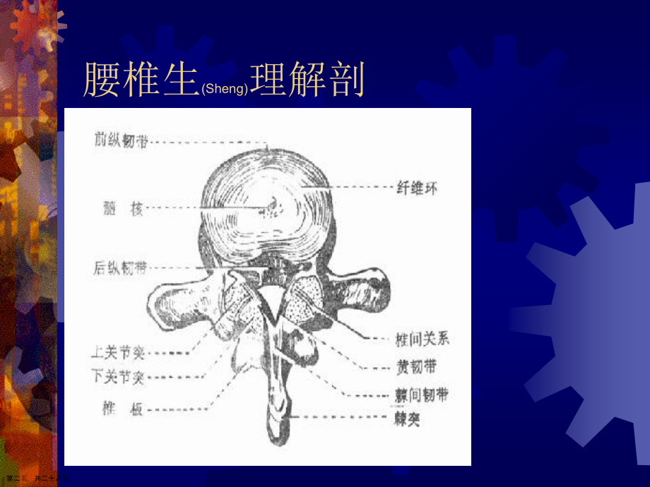 腰腿痛的针灸诊断治疗基础知识.pptx_第2页