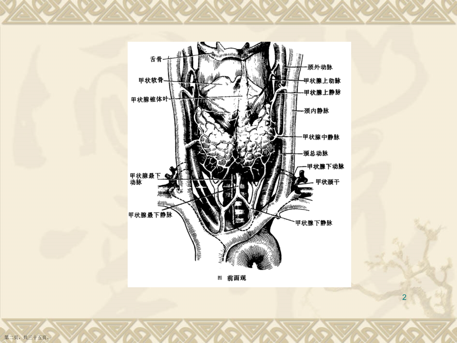 甲状腺功能亢进的外科治疗学习.pptx_第2页