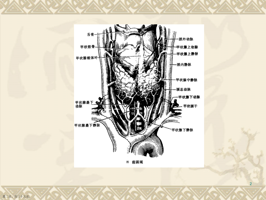 甲状腺功能亢进的外科诊断及治疗主题.pptx_第2页