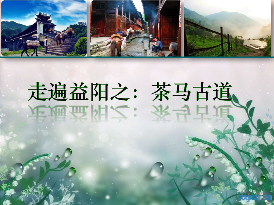 走遍益阳之茶马古道.pptx_第1页