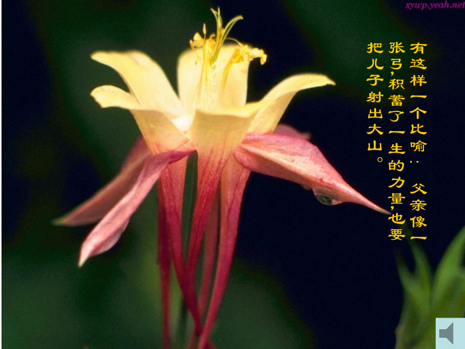 给儿子的一封信.ppt_第1页