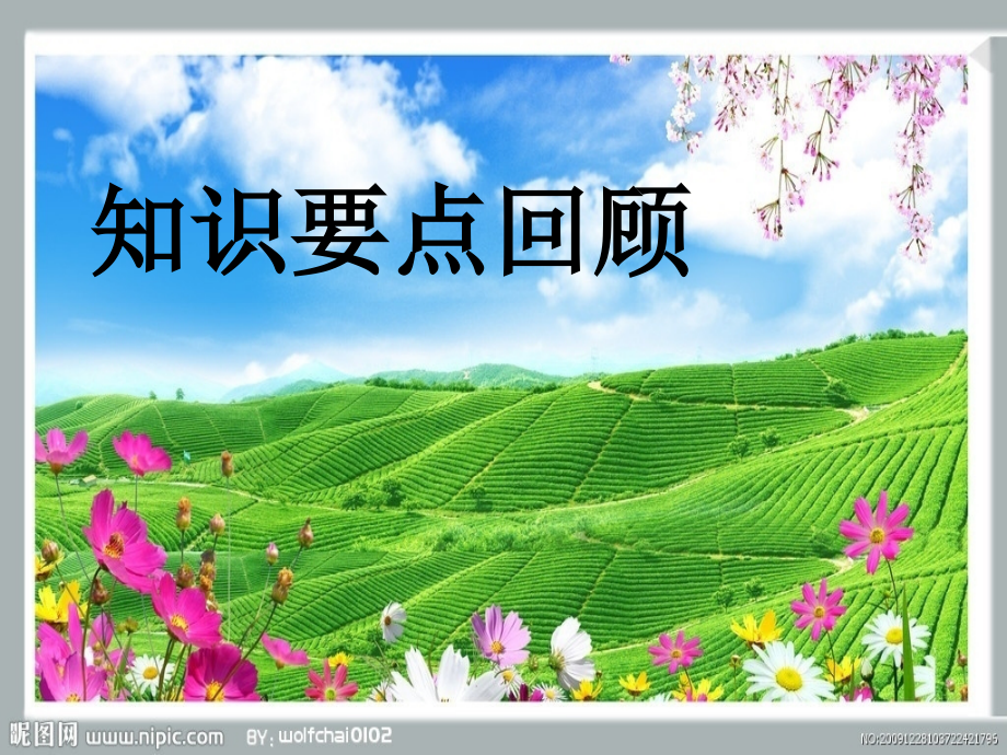 (晒课)中考总复习：二次函数.ppt_第2页