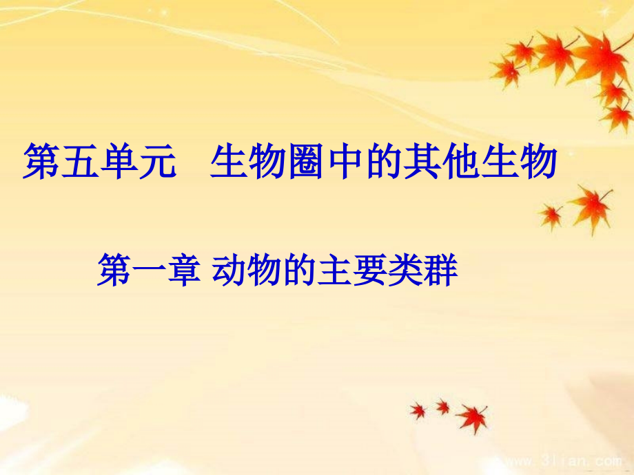 《扁形动物》课件.ppt_第1页