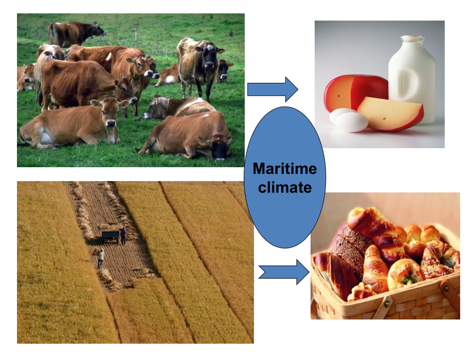 Brith diet.ppt_第2页