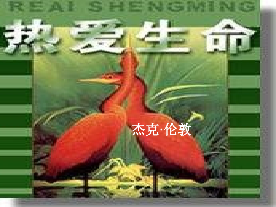 热爱生命--PPT.ppt_第1页