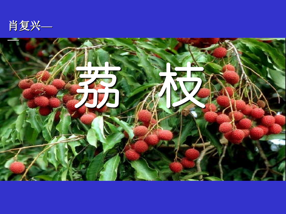 六年级语文上册《荔枝》 (2).ppt_第1页