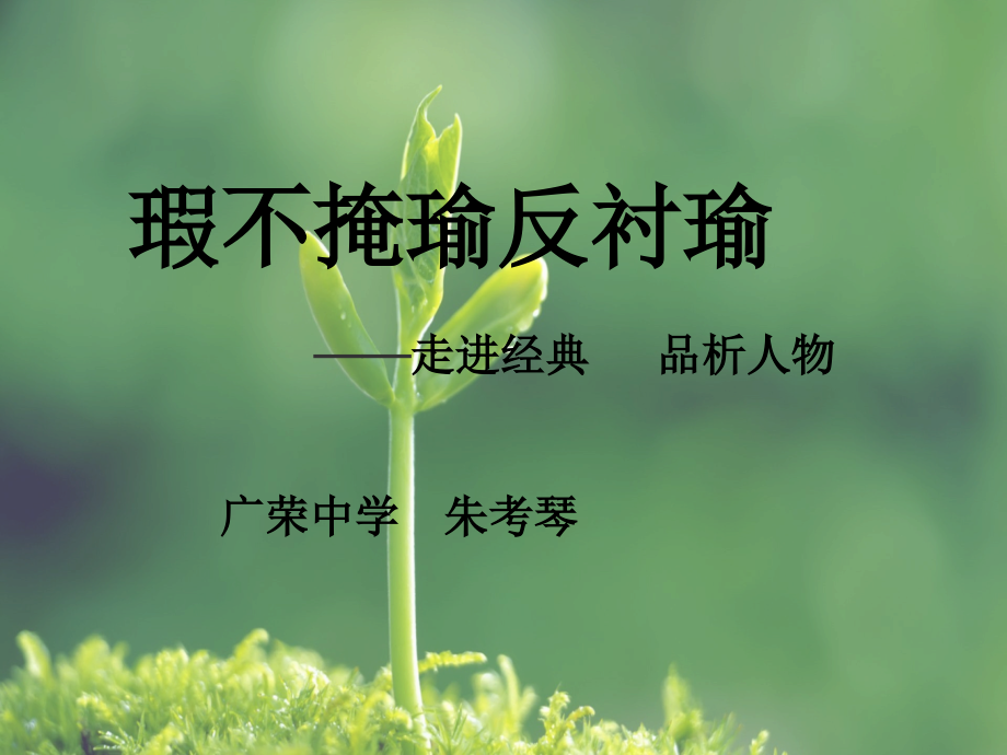 瑕不掩瑜反衬瑜.pptx_第2页