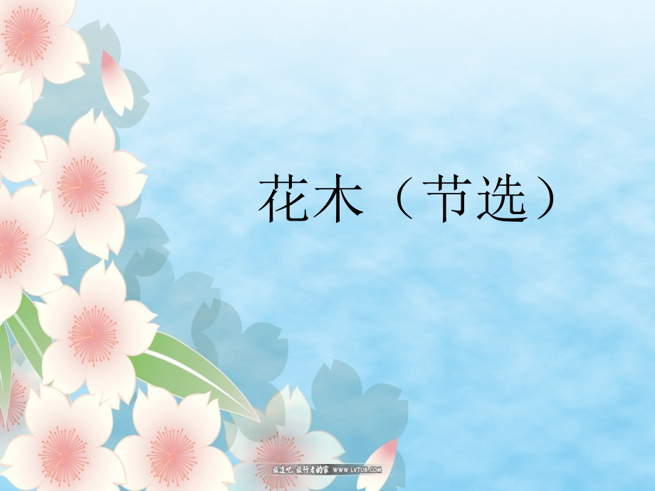 花木_ppt三年级传统文化.ppt_第1页