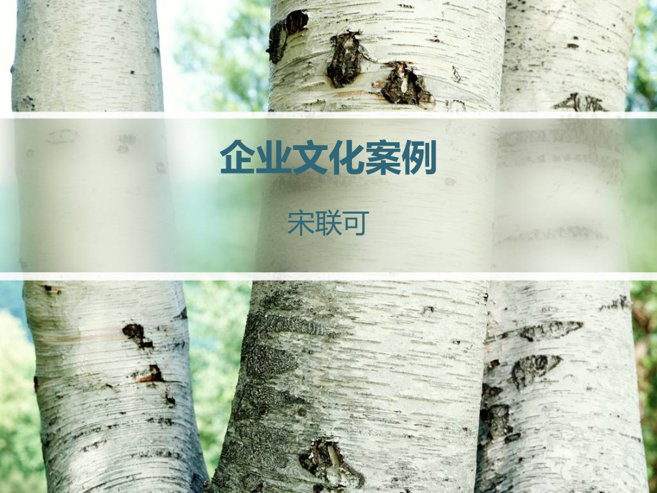 企业文化案例.ppt_第1页