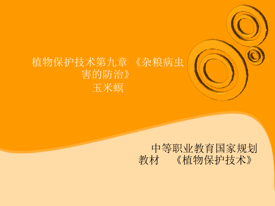 植物保护技术 杂粮病虫害的防治 玉米螟.ppt_第1页