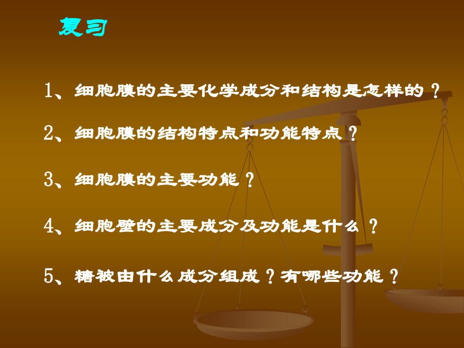 第一节 细胞的结构与功能二.细胞质的结构和功能.ppt_第2页