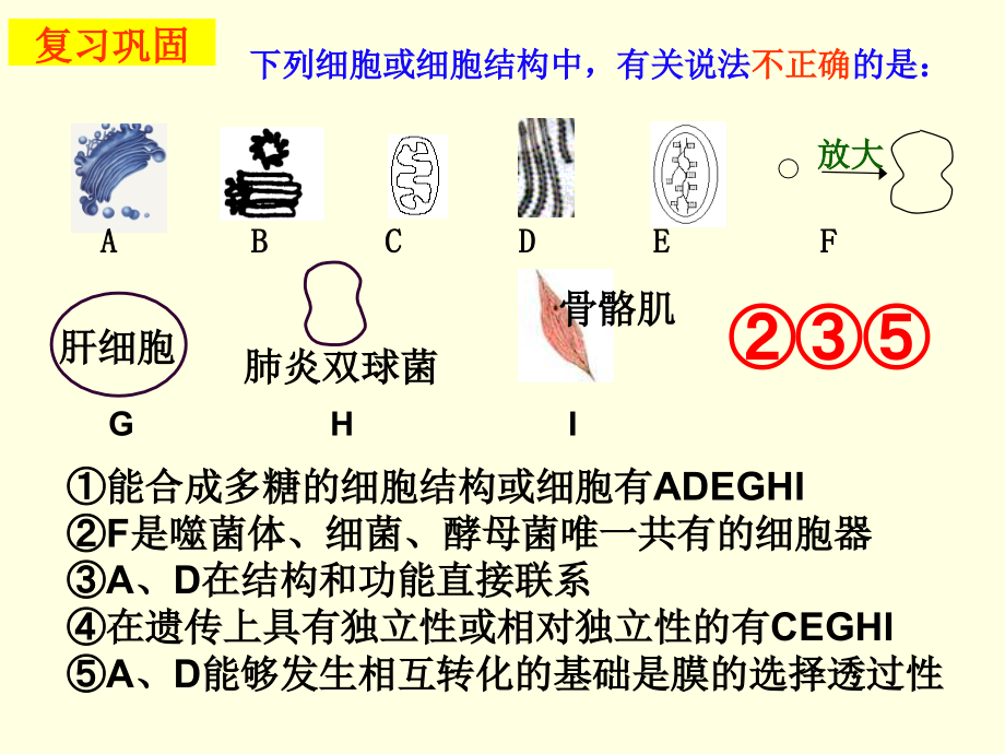 高中生物同步课件：3.3 细胞核——系统的控制中心(3)(人教版必修1).ppt_第2页