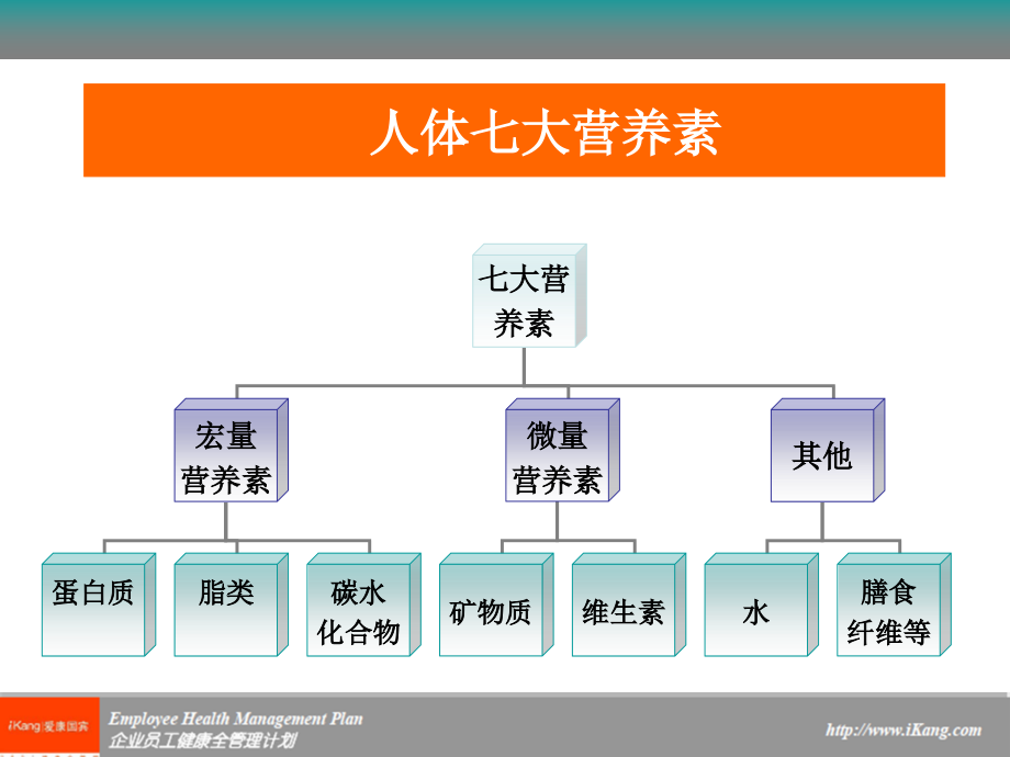 各类食物营养.ppt_第2页