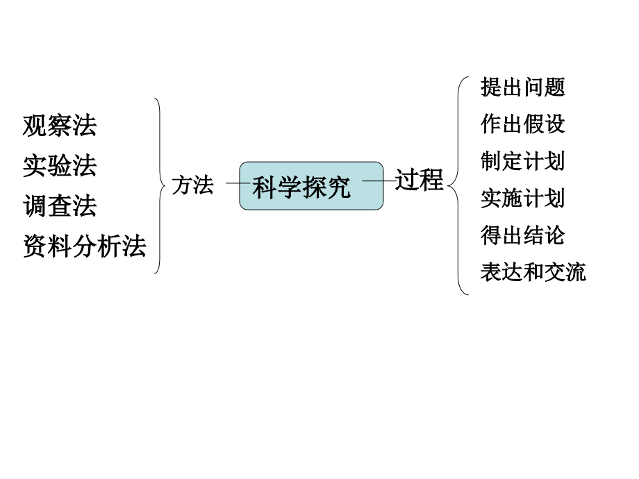 科学探究专项训练.ppt_第1页